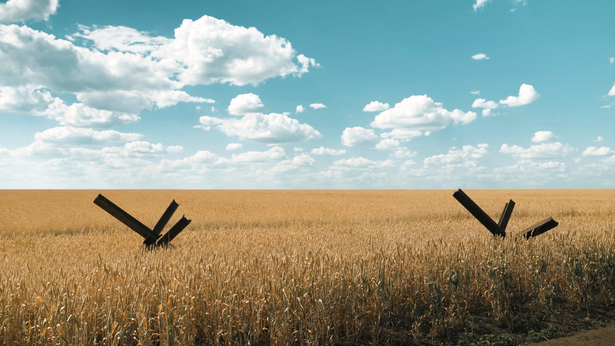 Die Story im Ersten – Weizen als Waffe // Wheat as WeaponDirector: Tatjana Mischke | Production: ThurnFilm | ARD, SWR