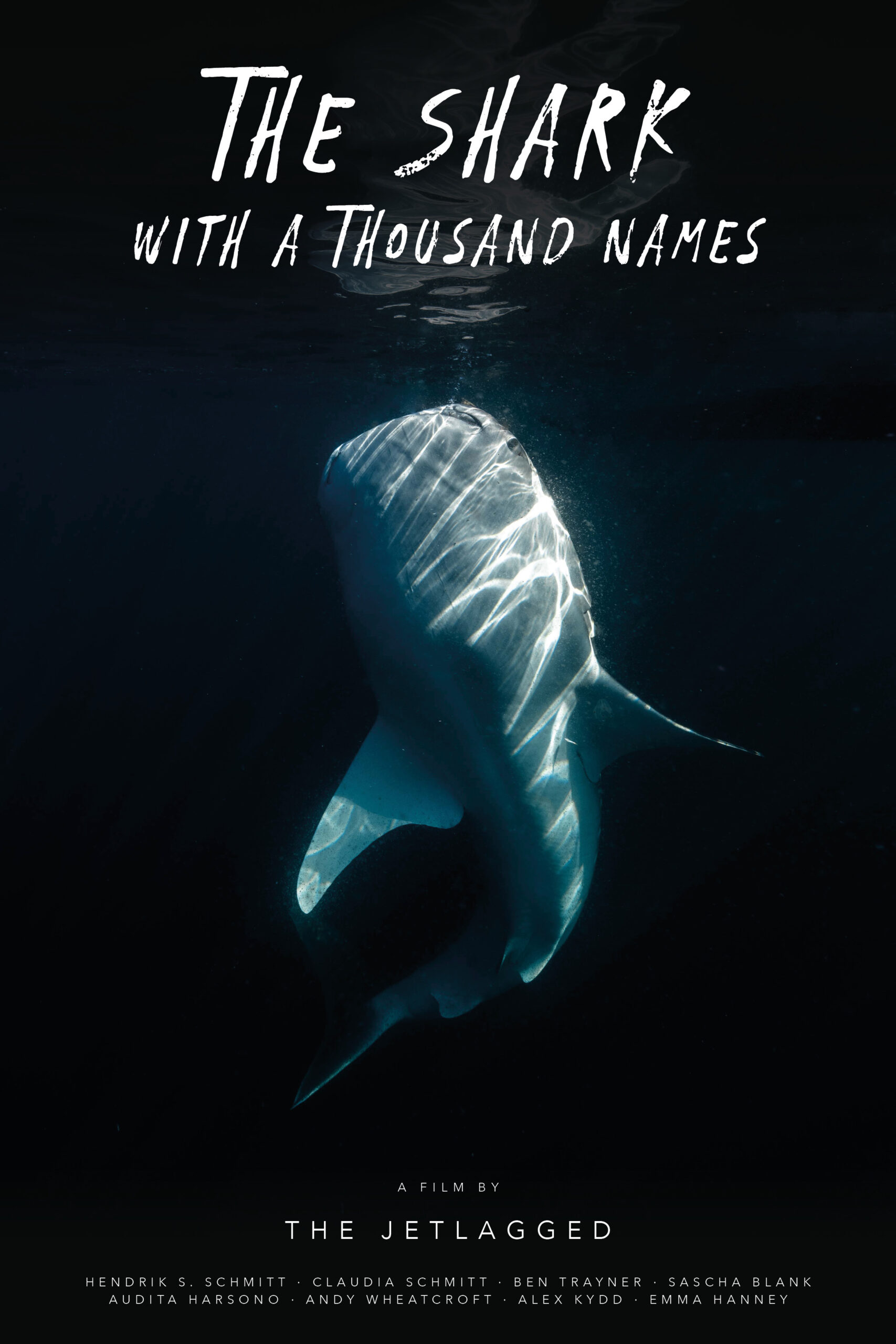 The Shark with a Thousand NamesDirector: The Jetlagged