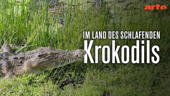 Timorleste – Land of the Sleeping CrocodileDirector: The Jetlagged, Mona Garzon | Production: K22Film | NDR, ARTE